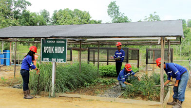 Peringatan Hari Lingkungan Hidup Jhonlin Group, Batulicin Kalimantan Selatan