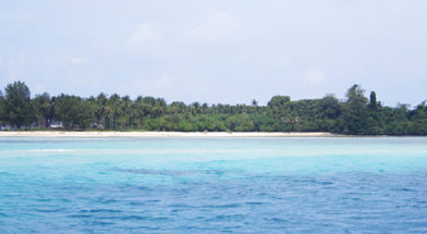 Batulicin, Pulau Sambar Gelap, jhonlin Group
